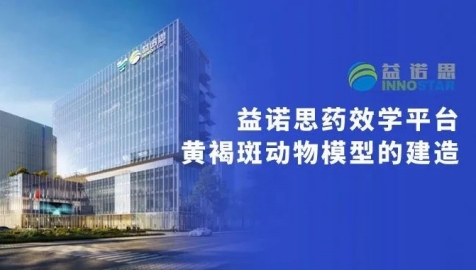 敲黑板！黄褐斑动物模型的建造要点