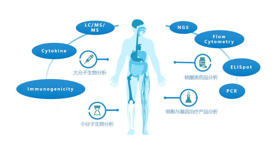 益平台｜临床生物样本分析 助推药物临床开发