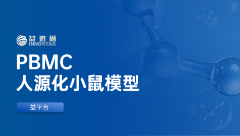 PBMC人源化小鼠模型：免疫治疗的得力助手