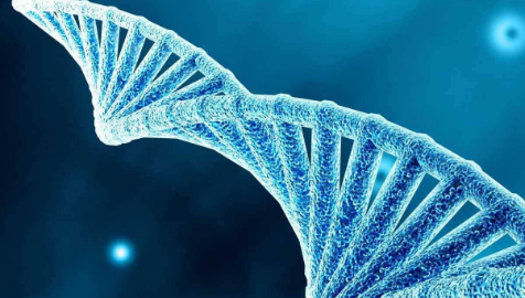 益诺思助力纽福斯眼科基因治疗药物NFS-02实现中美双报双批